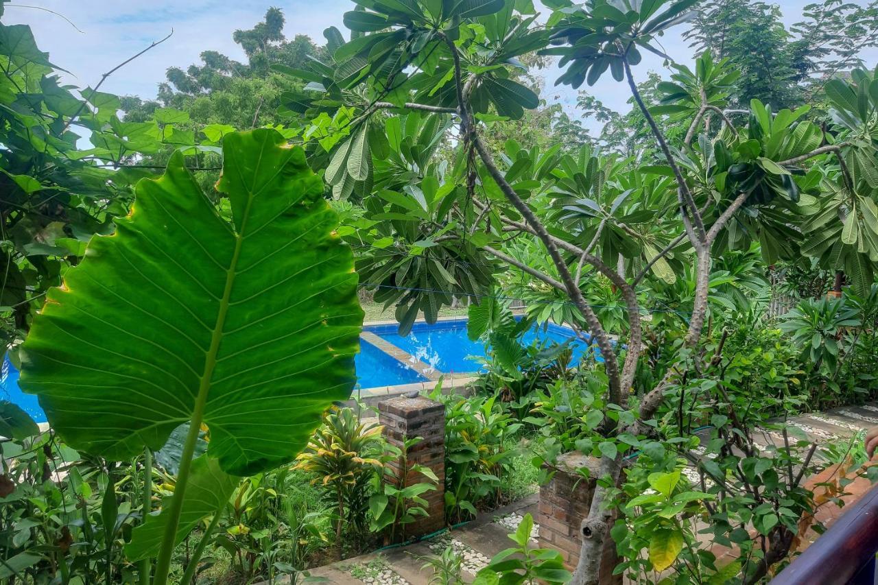 Oyo 3070 Villa Lovina Eco Lodge Экстерьер фото